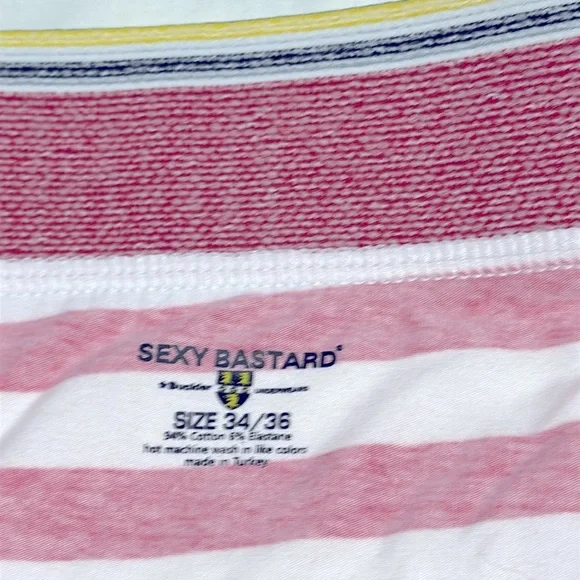 NWT Sexy Bastard Briefs 34/36 - Picture 8 of 10